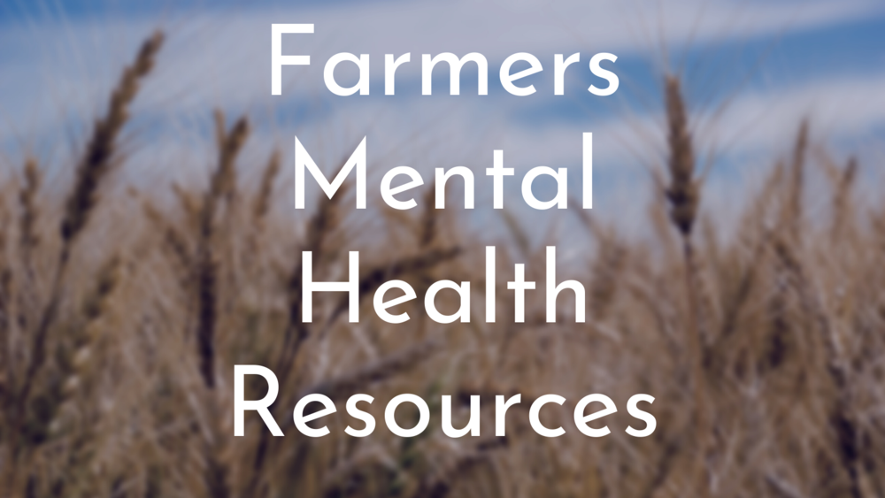 wheatfield for mental health resources